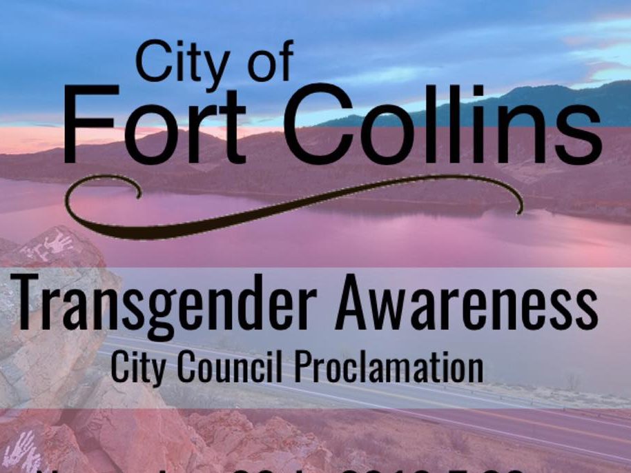 November 20 Proclamation of Trans Awareness Month at City Council