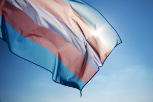 Trans flag: two light blue stripes with two pink and one white in the middle